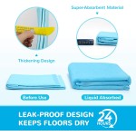 Pet Training Pad Factory - OEM 100 Pack Puppy Training