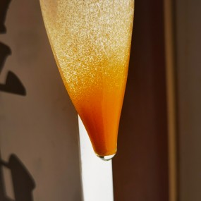 丰年虾卵工厂 - 小型水族箱幼虾