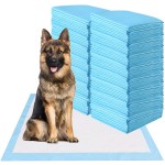 Pet Training Pad Factory - OEM 100 Pack Puppy Training