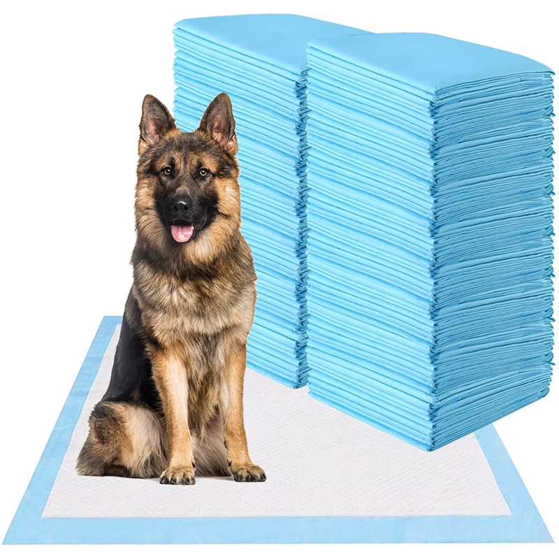 Pet Training Pad Factory - OEM 100 Pack Puppy Training