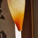 Brine Shrimp Eggs Supplier - Hatching Rate 90% Artemia