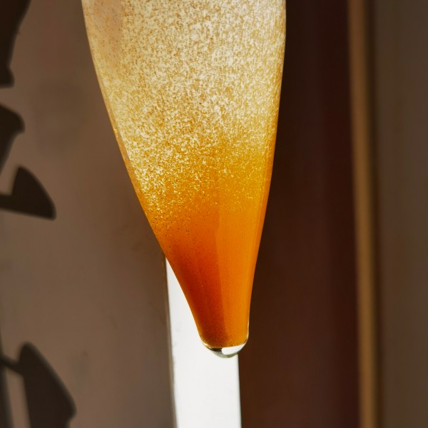 Brine Shrimp Eggs Supplier - Hatching Rate 90% Artemia