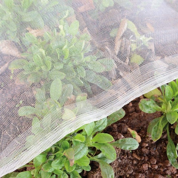 Insect Net Manufacturer - HDPE Plastic Anti Insect Screen