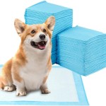 宠物训练垫批发 - 可降解60x60全吸收