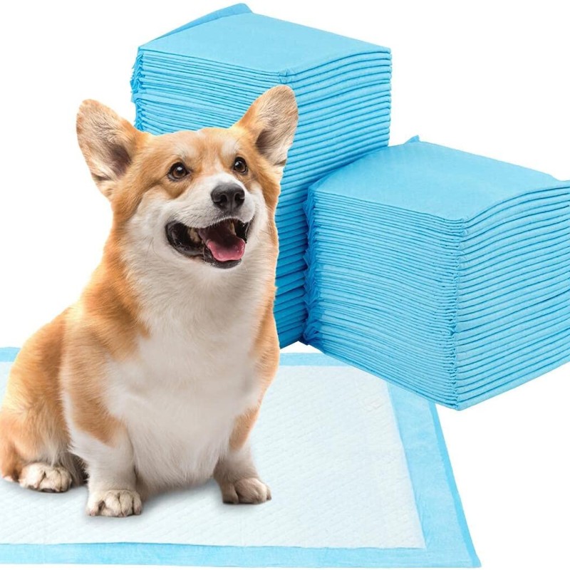 宠物训练垫批发 - 可降解60x60全吸收