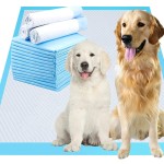 Pet Training Pad Manufacturer - Quick Dry Floral Scent