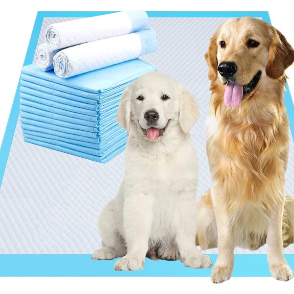 Pet Training Pad Manufacturer - Quick Dry Floral Scent