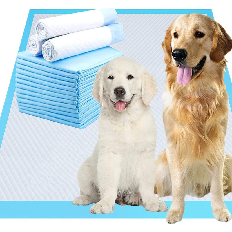 Pet Training Pad Manufacturer - Quick Dry Floral Scent
