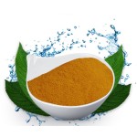 Brine Shrimp Eggs Manufacturer - High Protein Decapsulated