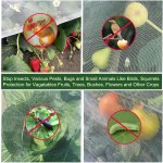 Insect Net Factory - New Mesh Plastic Mosquito Nets