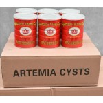 Brine Shrimp Eggs Factory - Fish Feed Artemia Cysts