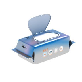 Toilet Wet Wipes Manufacturer - OEM Custom Travel Portable Flushable Wet Wipes
