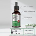 OEM Private Label Reishi Mushroom Supplement Reishi Mushroom Extract Immune System Builder