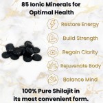 OEM/ODM Professional Organic Shilajit in Authentic Tablet Health Supplement for Energy, Immune Support