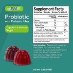OEM Supplement Probiotic Gummies Digestive & Immune Support 2 Billion Beneficial Bacteria for Human Needs