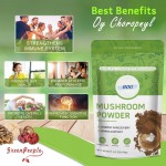 Hot Sale Lions Mane Mushroom Coffee Superfood Mushroom Complex Powder