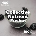 OEM Plant Extract Fulvic Acid Shilajit Powder Health Supplement Shilajit Extract Powder