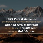 Wholesale Sale Organic Silajit Shilajit HImalayan Resin Pure Shilajit Extract for Energy, Immunity