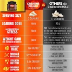 OEM/ODM Creatine Capsules Vegan Creatine Chews for Muscle Growth Muscle Recovery Workout Recovery