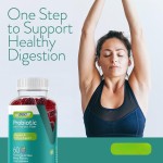 OEM Supplement Probiotic Gummies Digestive & Immune Support 2 Billion Beneficial Bacteria for Human Needs