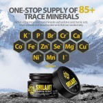 Private Label Shilajit Essential Extract Pure Himalayan Organic Shilajit Resin Focus & Energy Immunity Shilajit