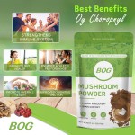 10 in 1 Mushrooms Extract Supplement Blend for Coffee & Smoothies Lions Mane Turkey Tail Reishi Chaga Shiitake Cordyceps Complex
