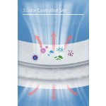 成人拉拉裤工厂 - 可定制通用透气一次性拉拉裤