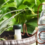 浇水钉生产厂家 - 陶土自动桩