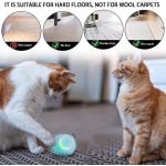 猫玩具供应商 - 自动互动滚球