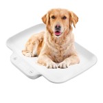 数字秤工厂 - 电子宠物食品称重