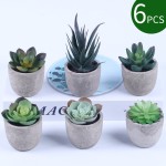 人造植物批发 - 7.5cm 7cm组合套装