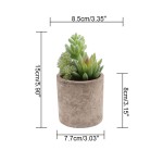 整形树工厂 - 迷你盆栽仿塑料装饰