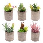 整形树工厂 - 迷你盆栽仿塑料装饰