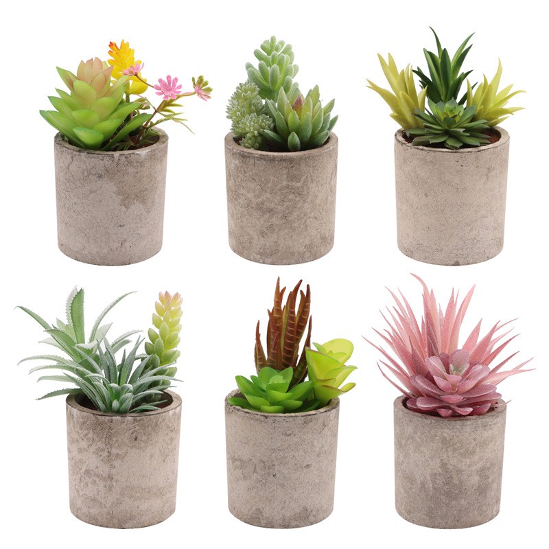 整形树工厂 - 迷你盆栽仿塑料装饰