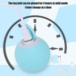 猫玩具供应商 - 自动互动滚球