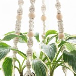 Plant Hanger Manufacturer - Wood Beads Macrame Holder
