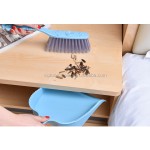 Hand Broom Factory - Professional Ergonomic Brush Design