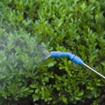 手压喷雾器工厂 - 泵式花园压力喷水