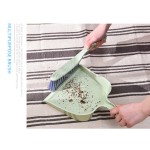 Hand Broom Factory - Professional Ergonomic Brush Design