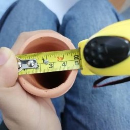 Watering Spike Factory - 4/6/8 Pcs Self Watering System