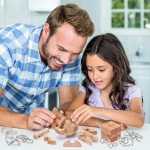 智力玩具生产厂家 - 金属木质拼图9件套