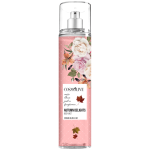 Adult Diapers Manufacturer - OEM Custom Large 15 Pieces