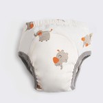 Baby Training Pants Manufacturer - OEM Custom Cotton Diaper Pants