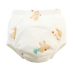 Baby Diaper Pants Manufacturer - OEM Custom Waterproof Underwear