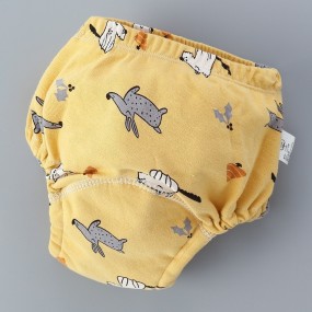 Baby Training Pants Factory - OEM Custom Washable Absorbent Pants