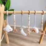 婴儿喂食器生产厂家 - 硅胶水果奶嘴无BPA