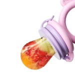 Fruit Feeder Manufacturer - Safe Baby Nipples Feeding