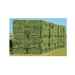 苜蓿草捆生产商 - 批发纯正动物饲料