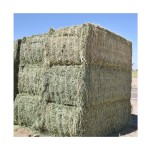 Alfalfa Pellets Supplier - Bulk Timothy Hay Animal Feed