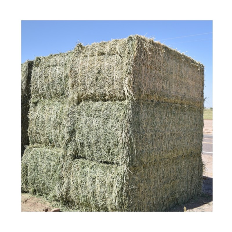 Alfalfa Pellets Supplier - Bulk Timothy Hay Animal Feed